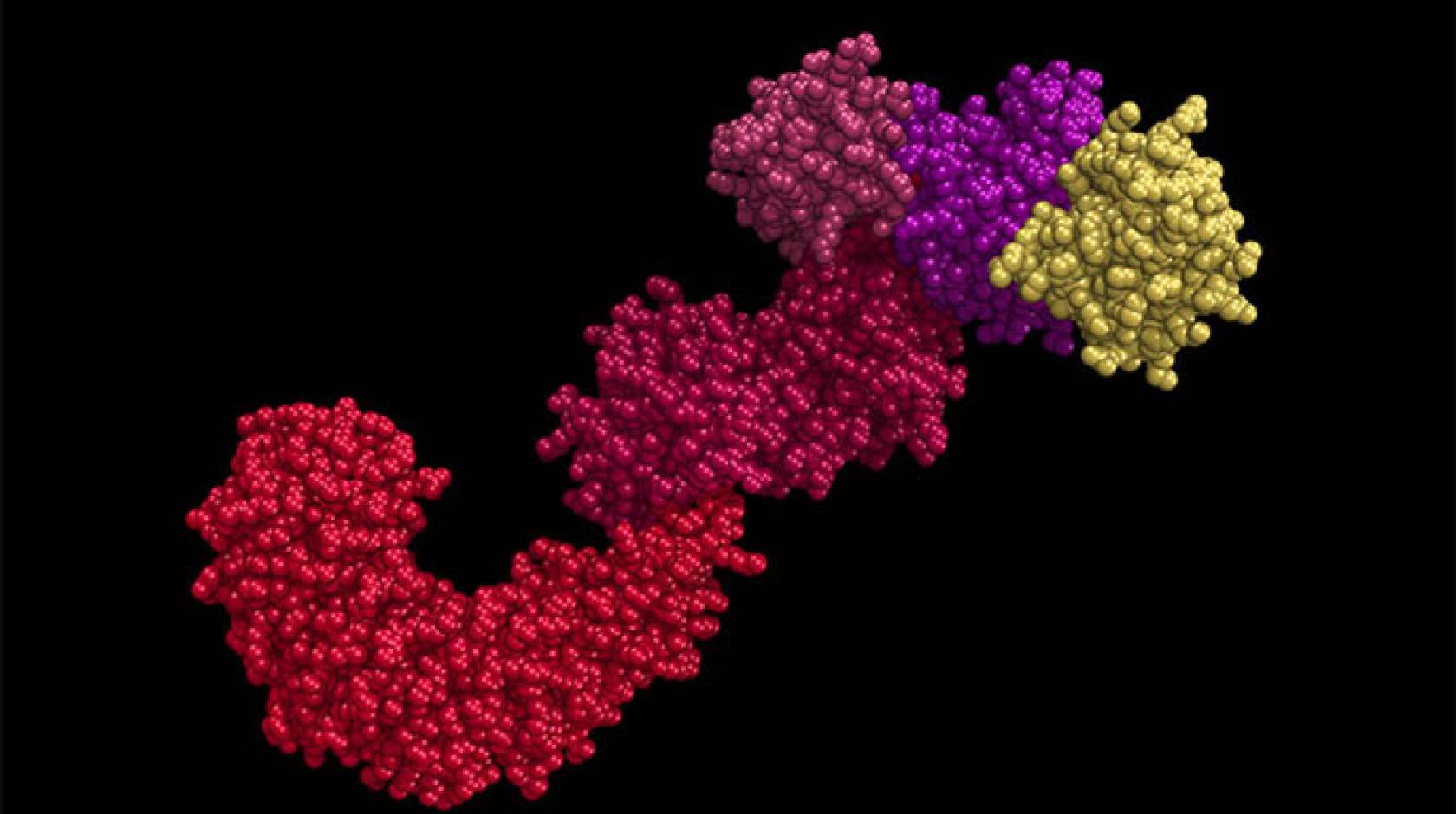 Image of the NLRP3 protein