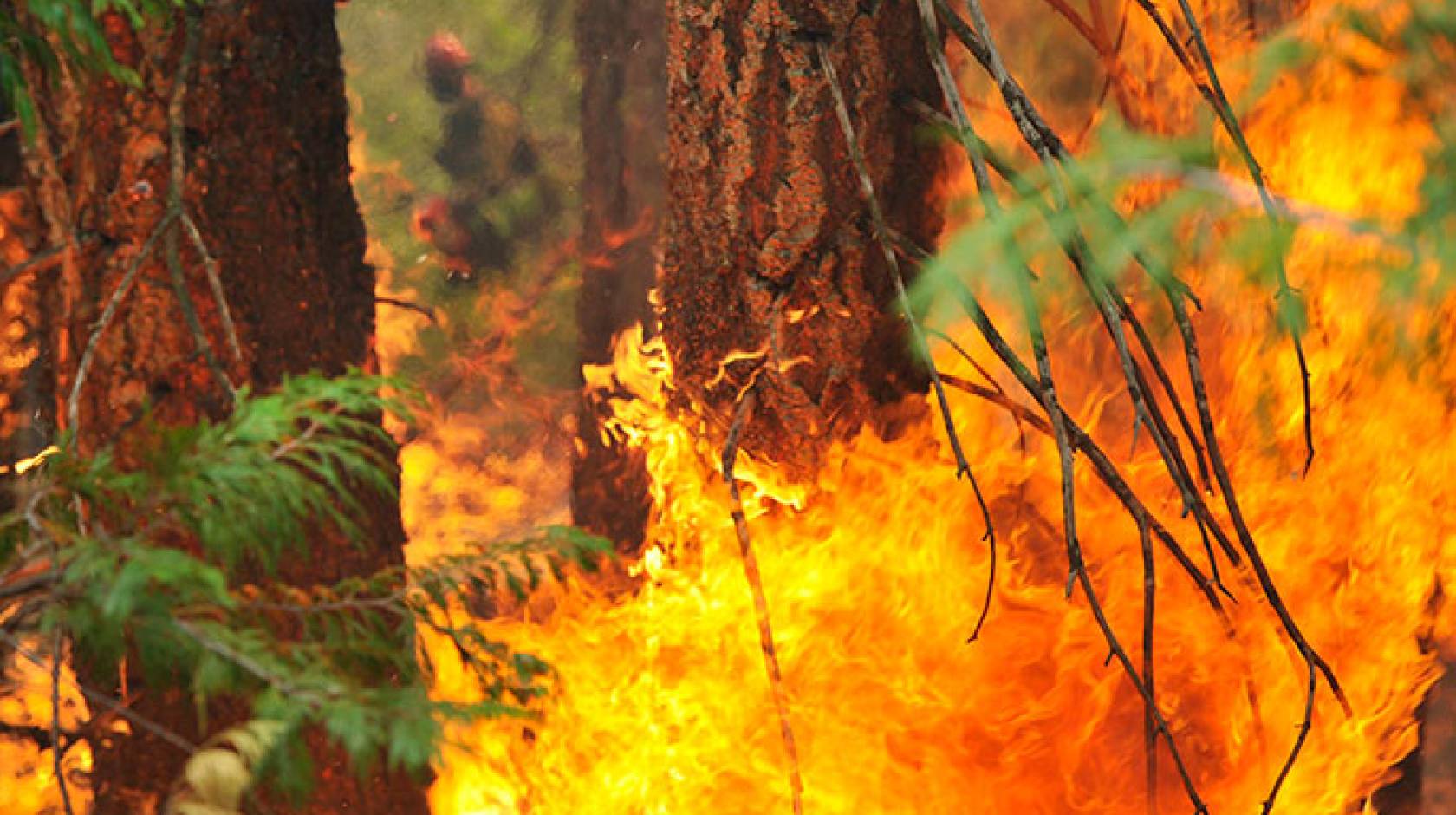 Wildfire in Sequoia National Forest