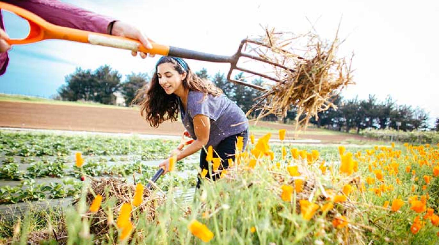 UC Santa Cruz has much to offer the UC Global Food Initiative