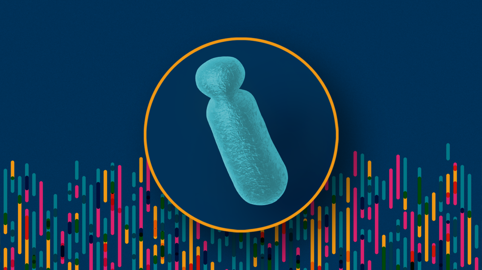 Illustration of DNA sequences of the Y chromosome