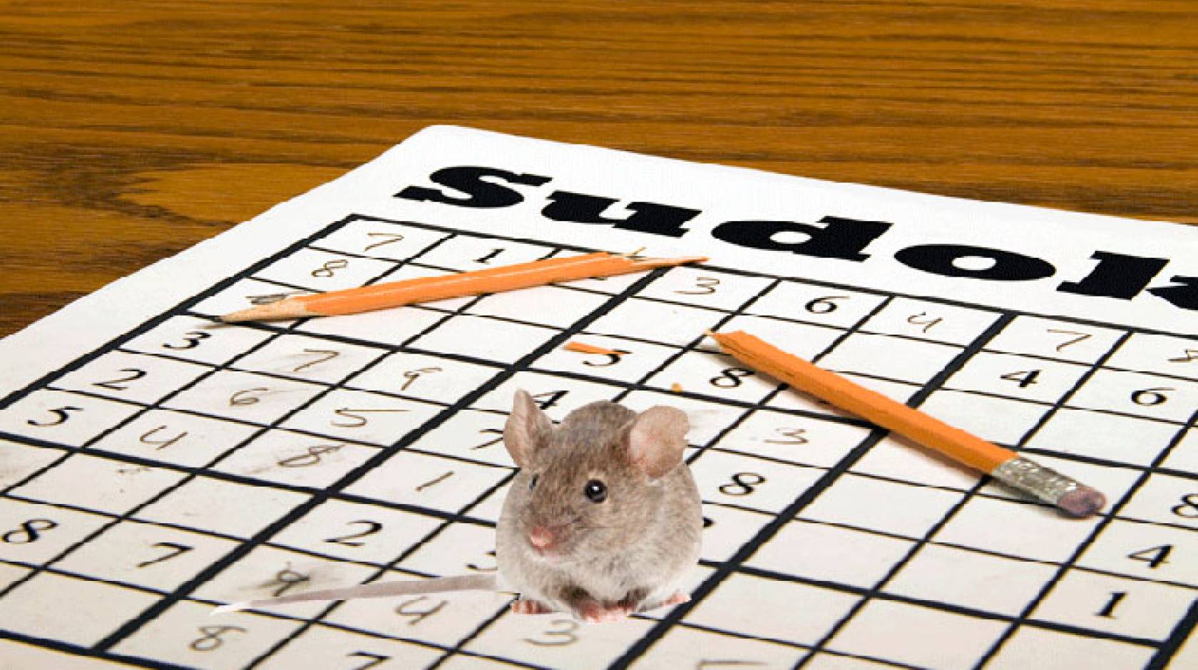 mouse on sudoku puzzle