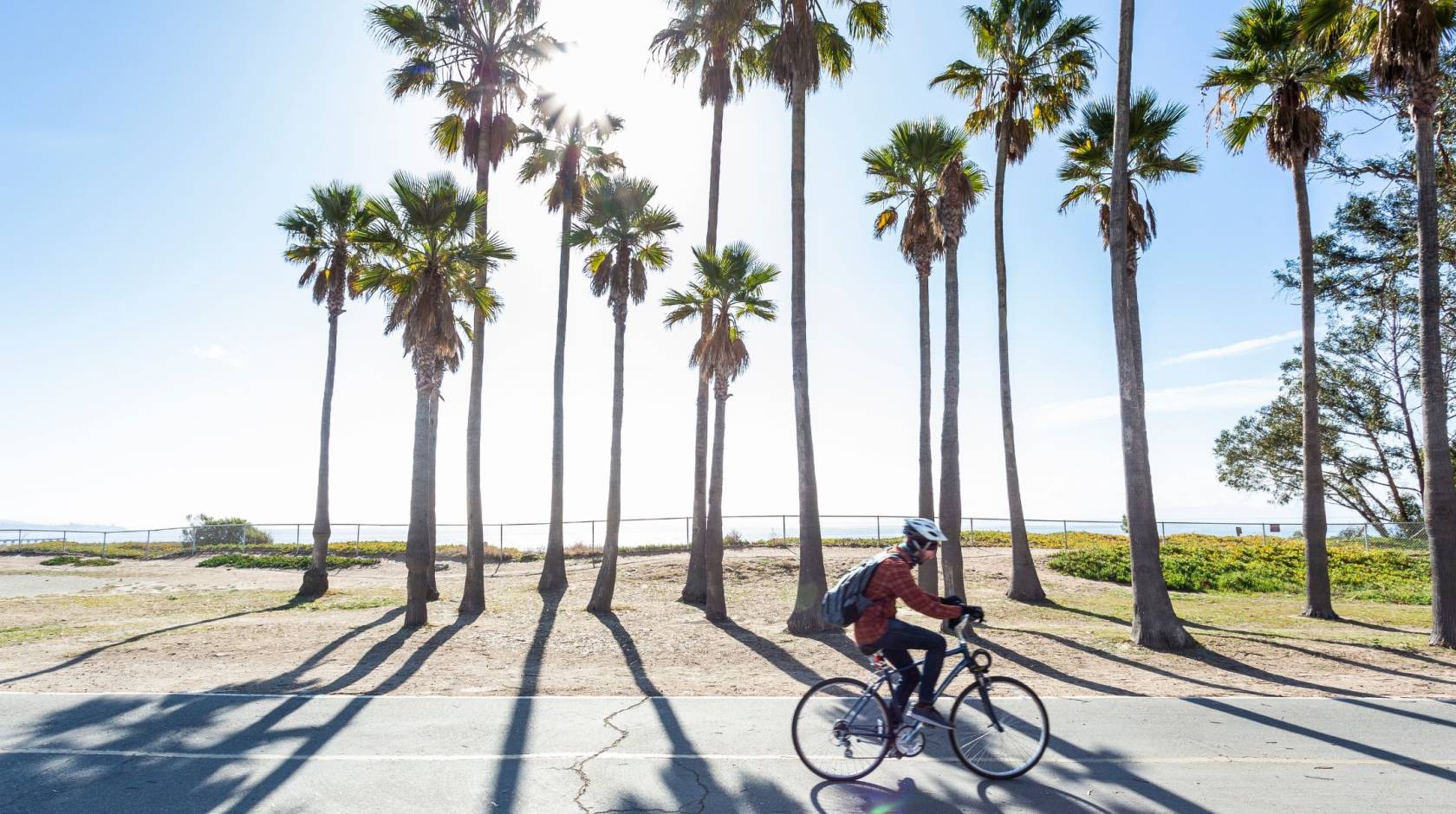 Person cycling past a stand of palm trees on a sunny day in Santa Barbara