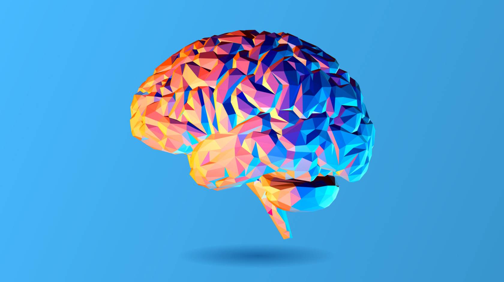 Brain illustration on blue background