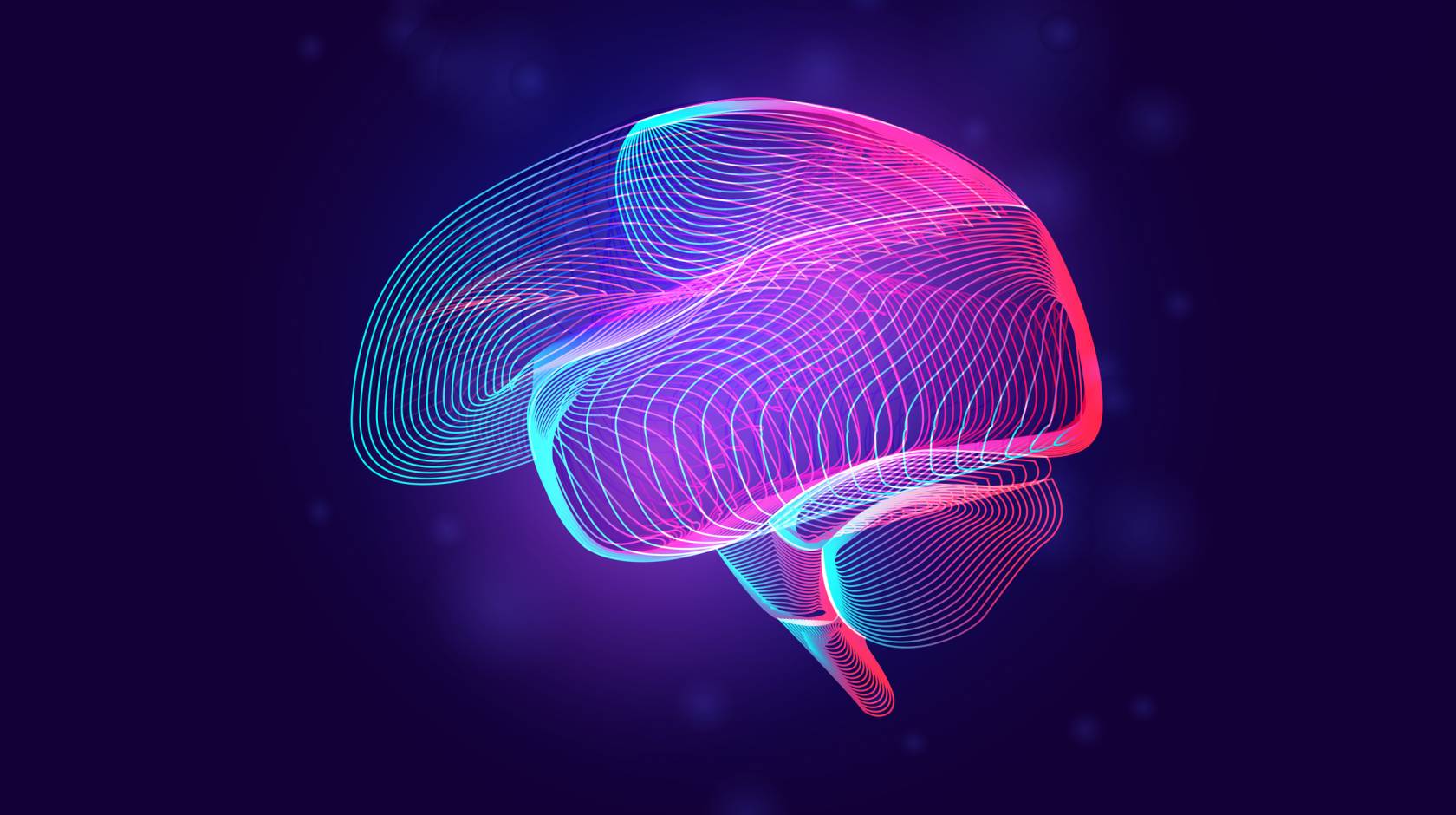 Brain illustration