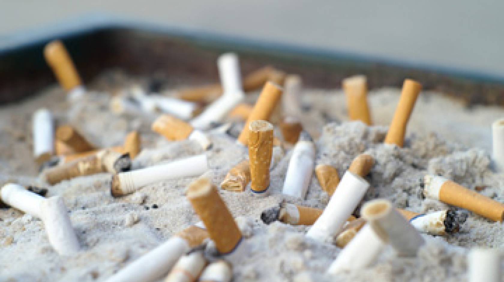 cigarette butts