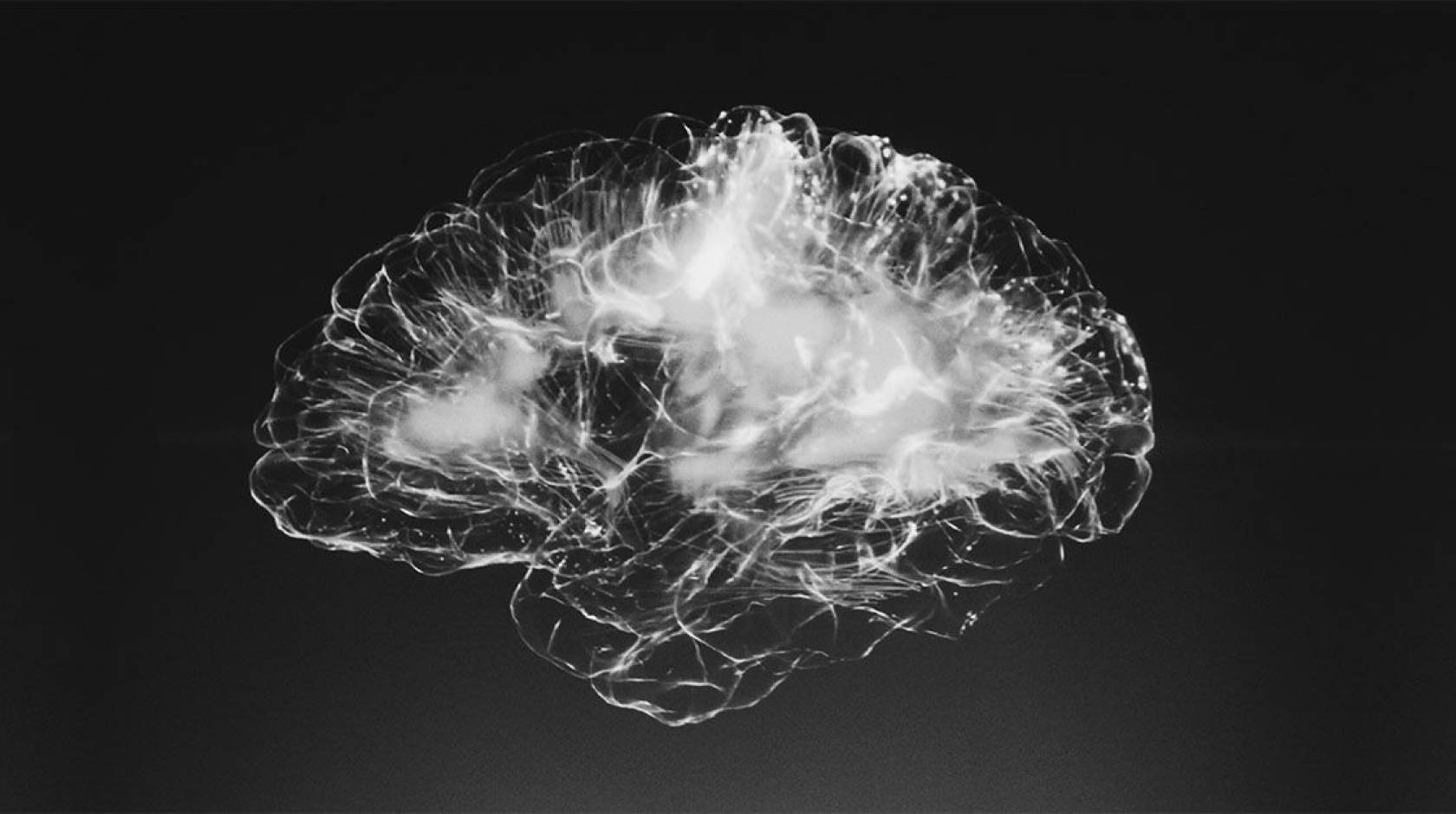 Cellular atlas of amygdala reveals new treatment target for