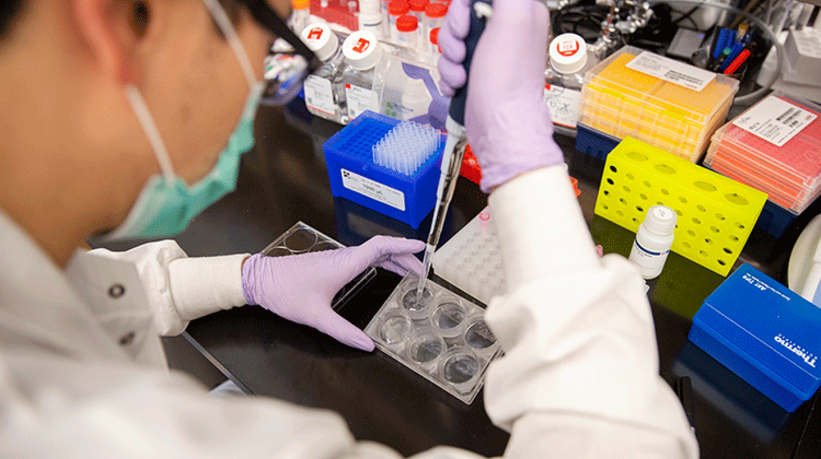 Researcher using a pipette