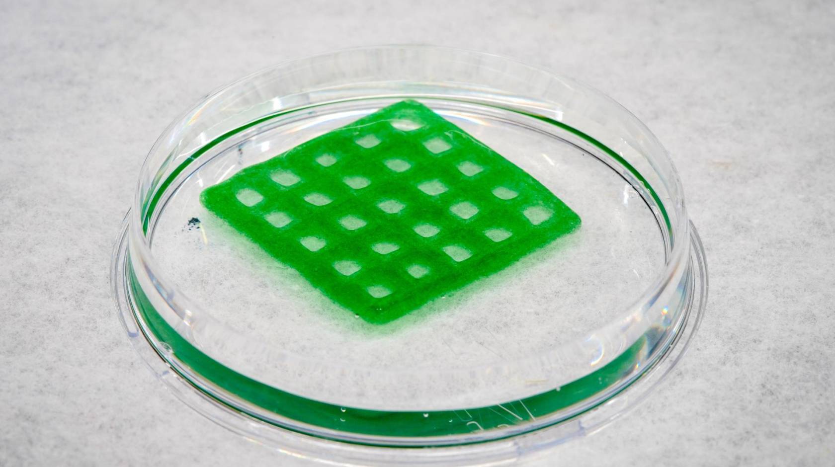 A transparent liquidish disc with a green grid on top of it
