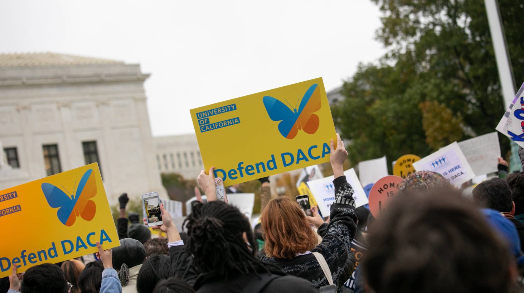 Defend DACA signs at a rally