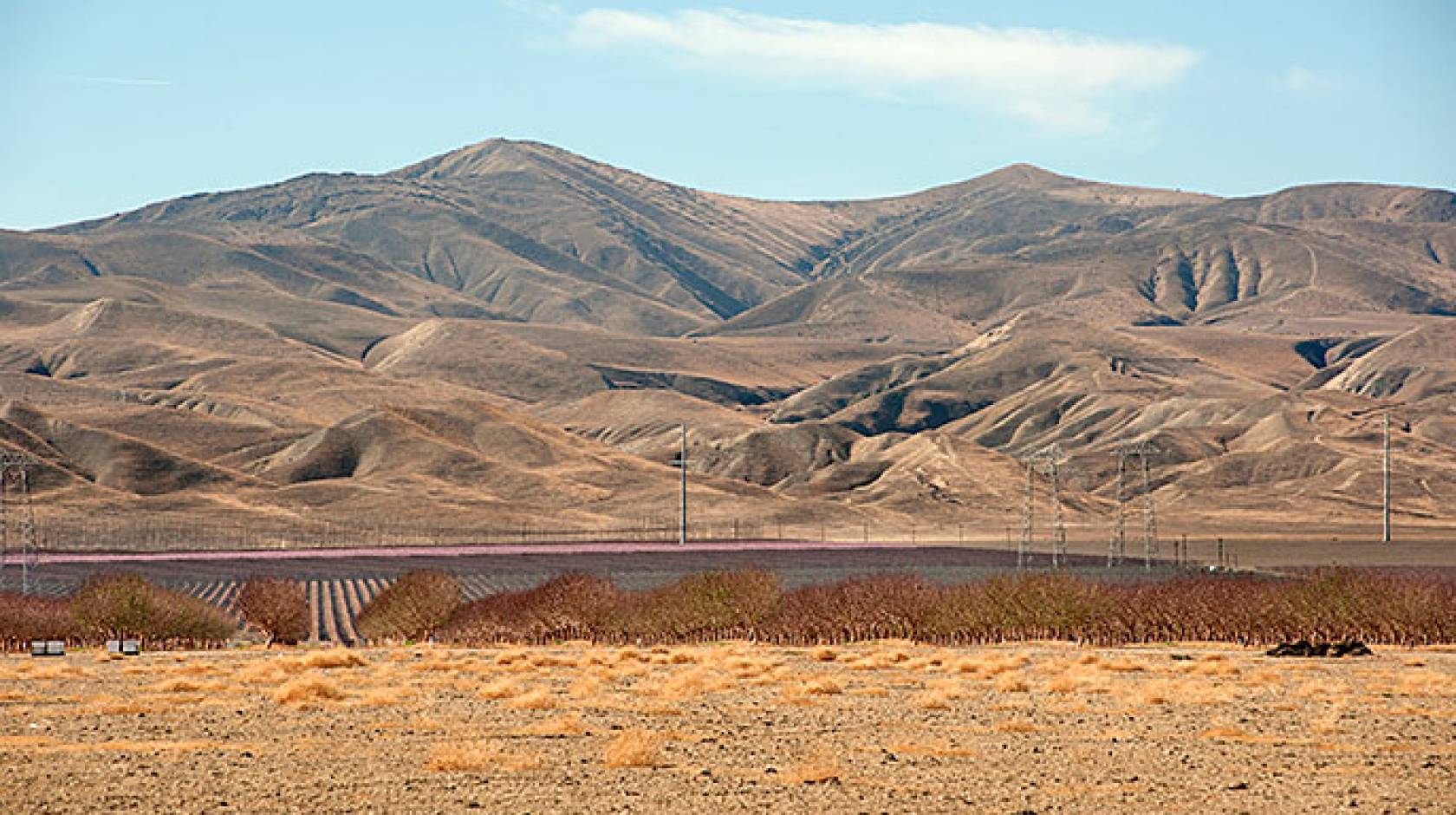 Dry fields and hills, San Joaquin, CA