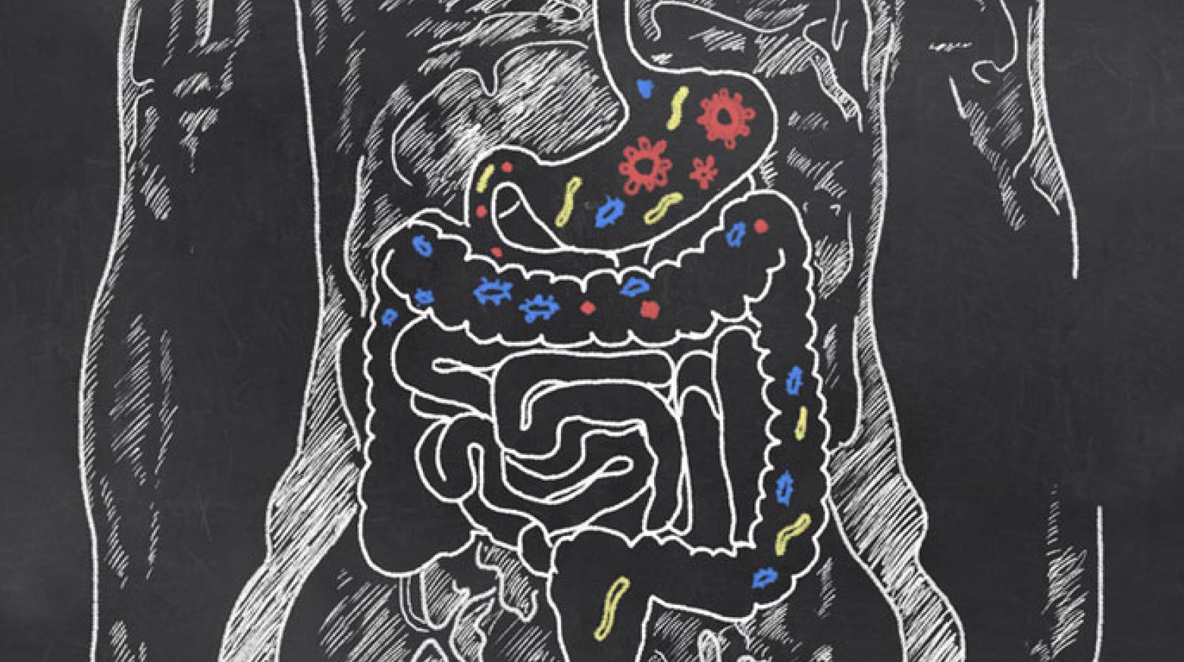 UC Santa Barbara digestion