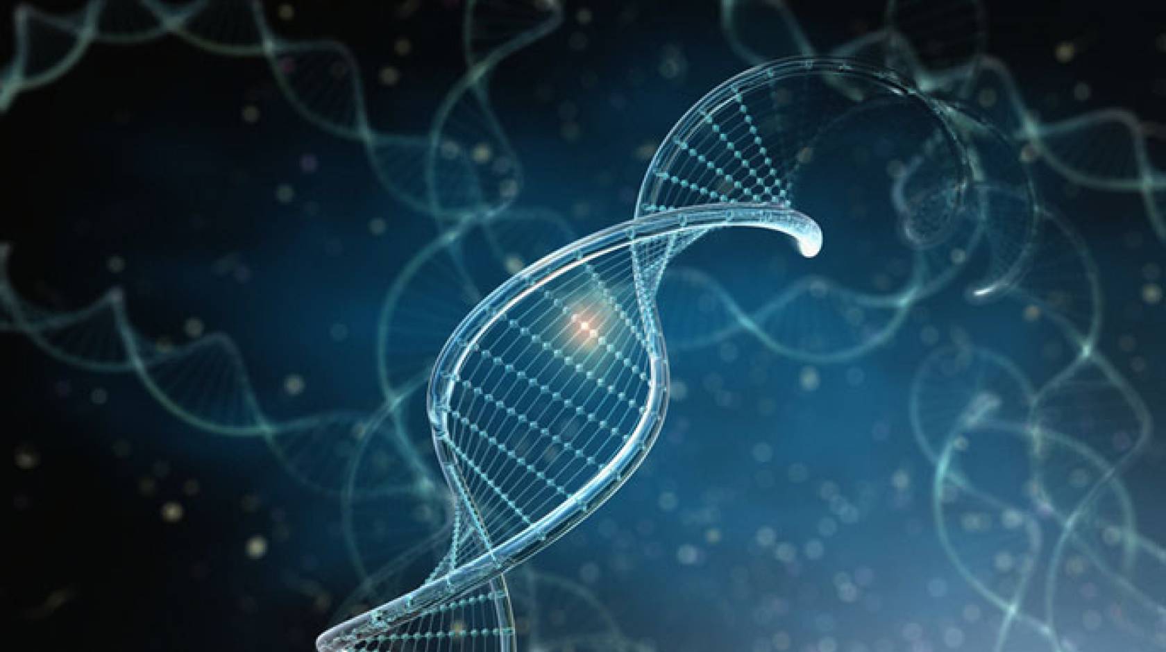 DNA differences UCSF