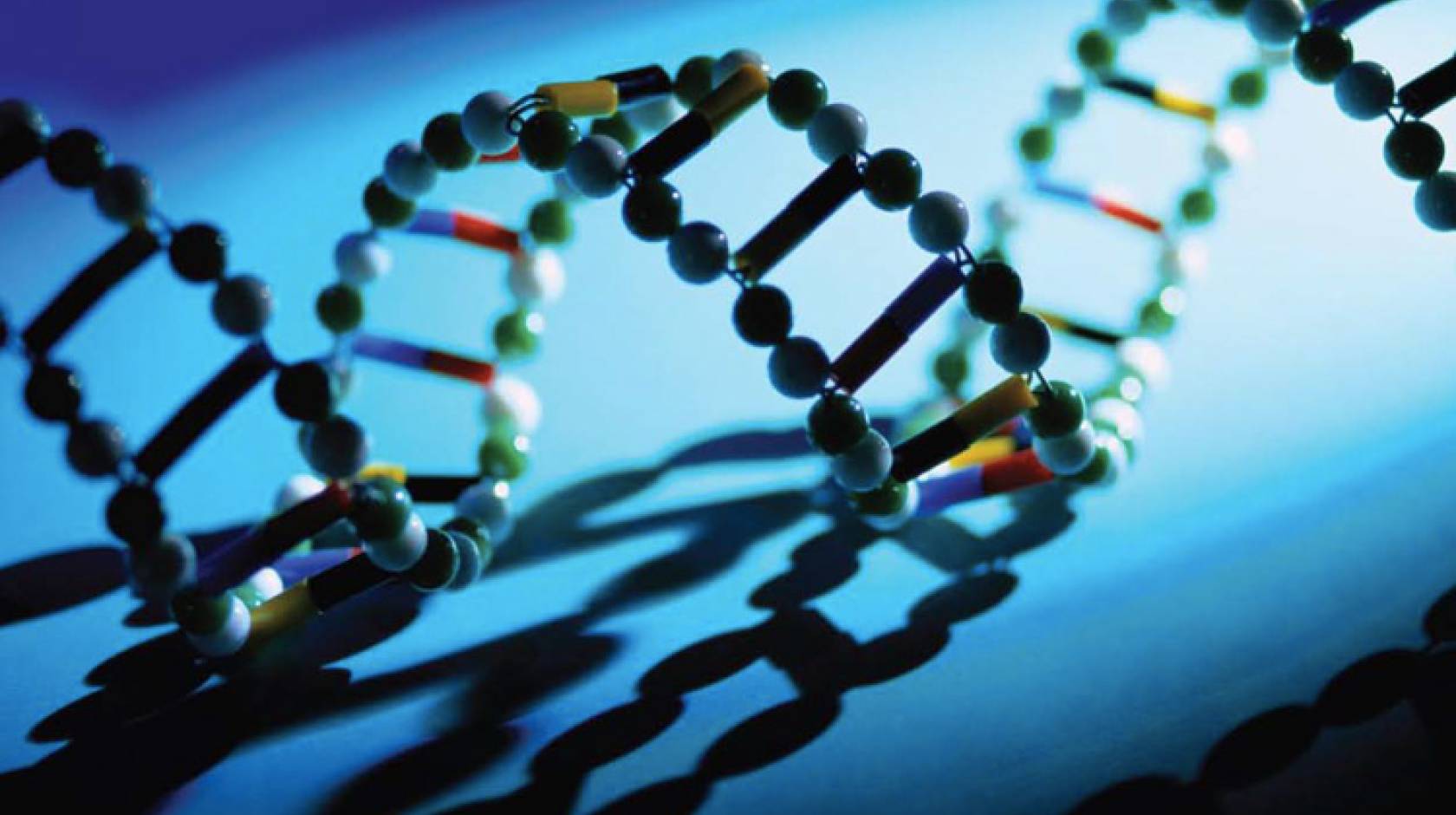 Illustration of the DNA double-helix