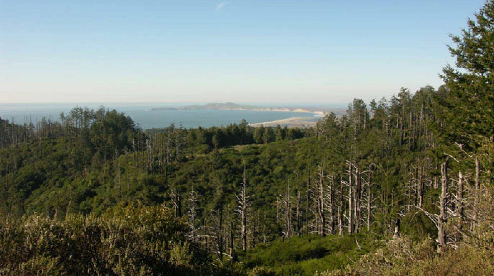 Natural Features & Ecosystems - Point Reyes National Seashore