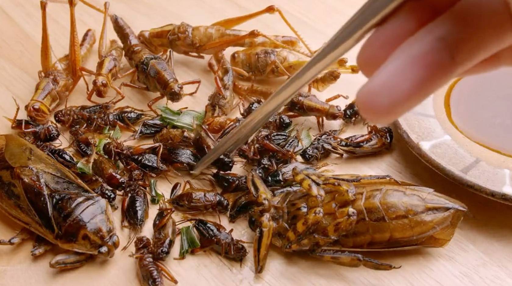 An array of dead insects next to a plate, one being grasped by a chopstick