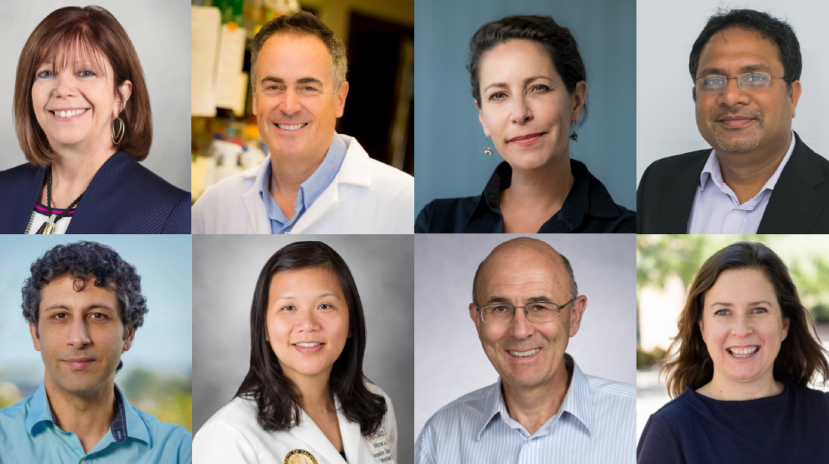 A collage of 8 UC San Diego professor headshots