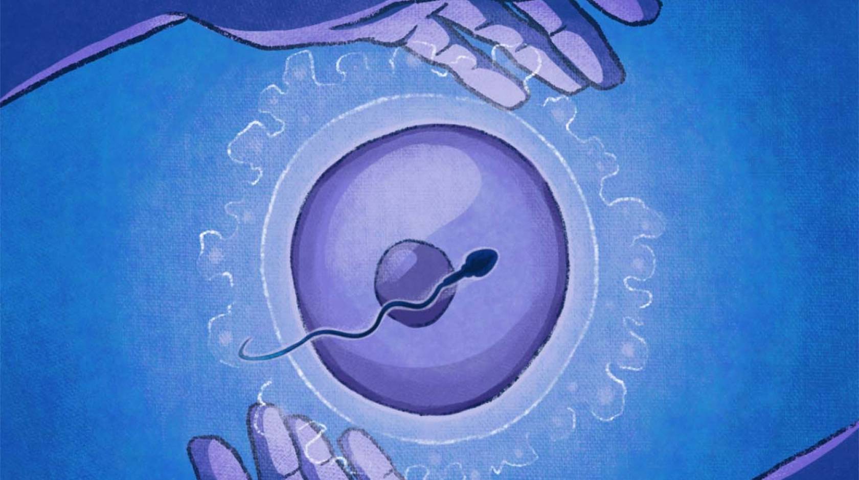 How much can we control our own fertility?