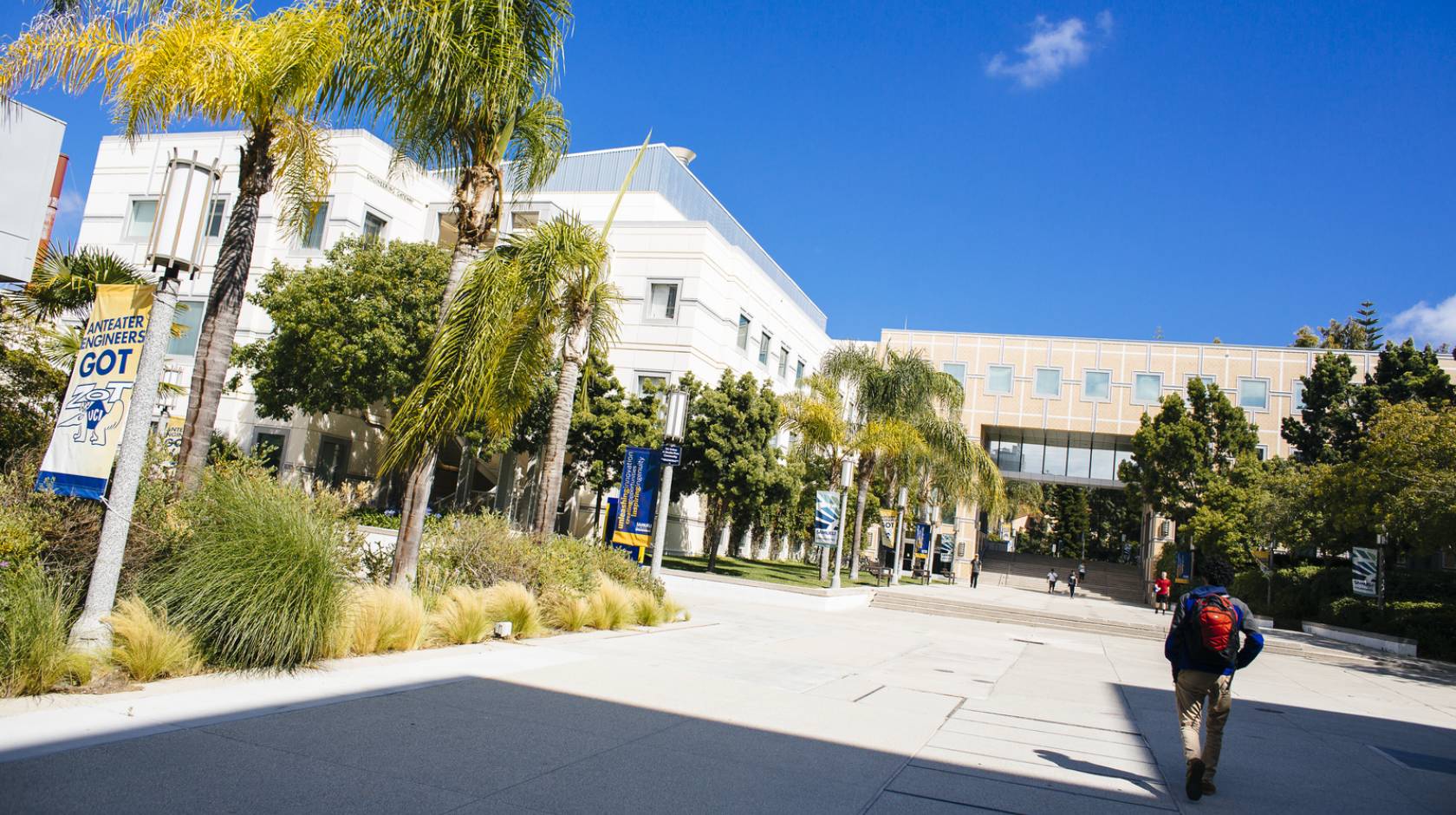 Student walks on wide pavement area of UC Irvine campus