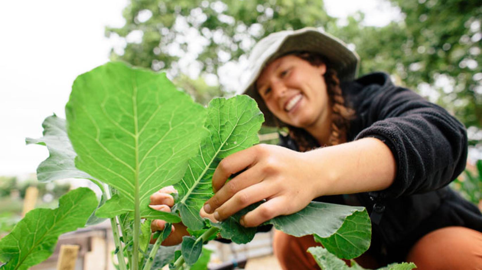 Young woman gardening