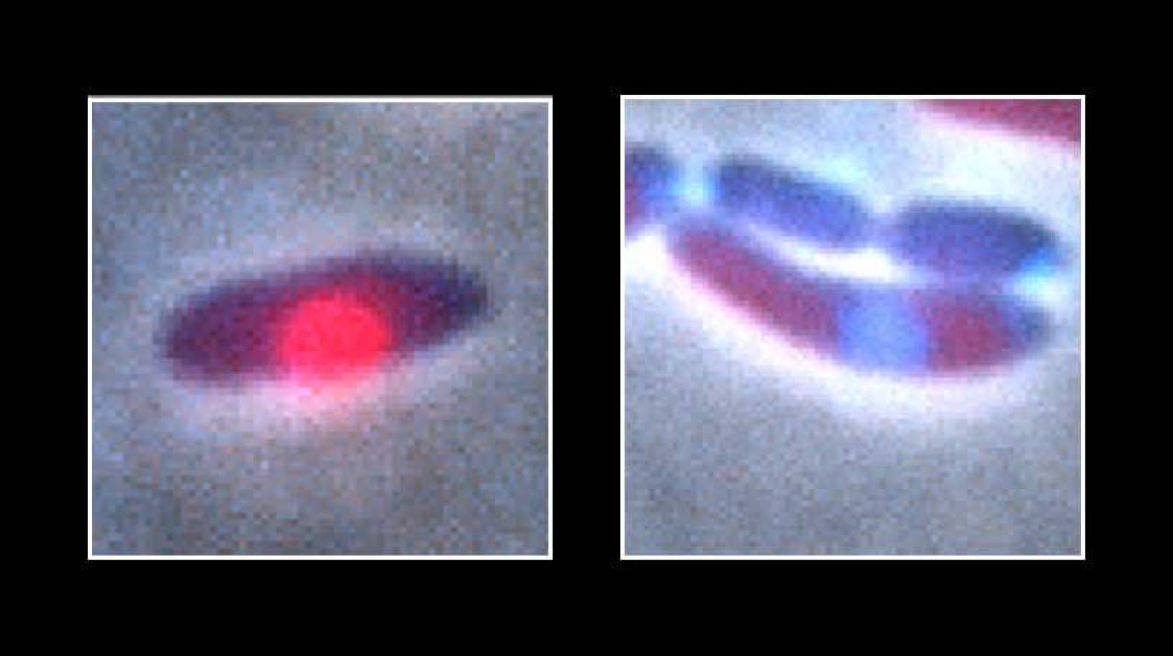 Two images, one of a purple oval with a pink dot on it, and one of two blueish, ovalish shapes on top of one another