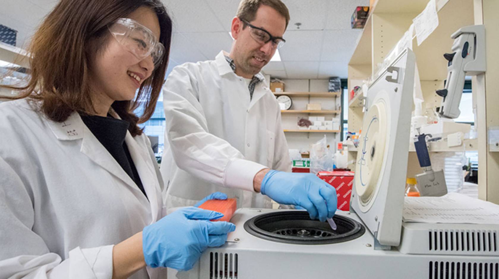 Researchers Pin Wang (left) and Antoine Snijders investigate blood cells collected from mice exposed to thirdhand smoke. 