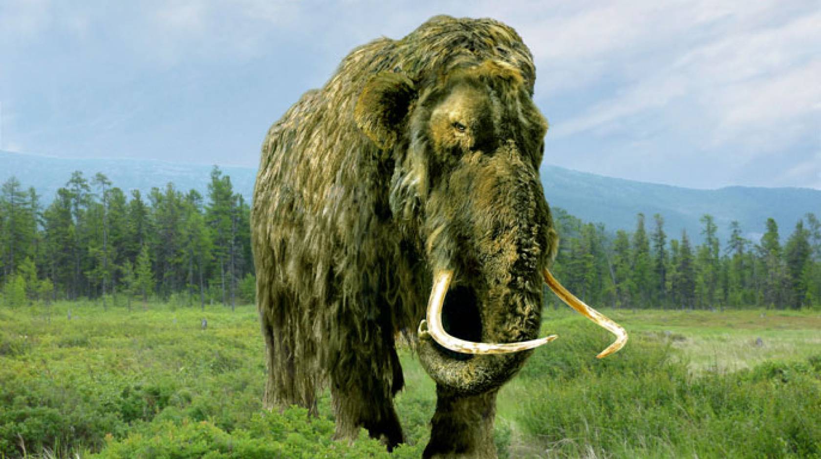 Bringing Back The Woolly Mammoth 2024 - Karyl Marylin