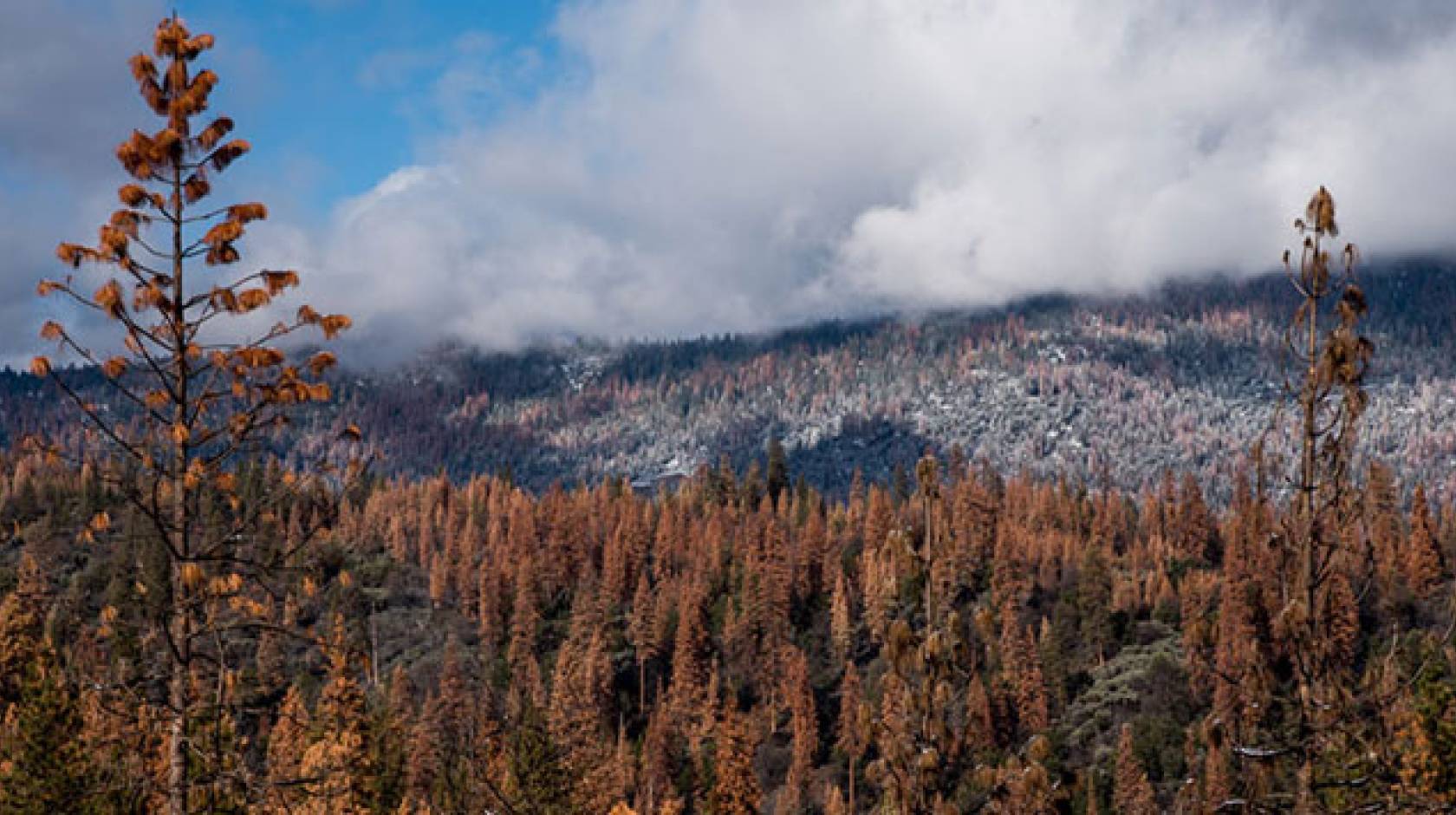 Sierra Nevada mountain range