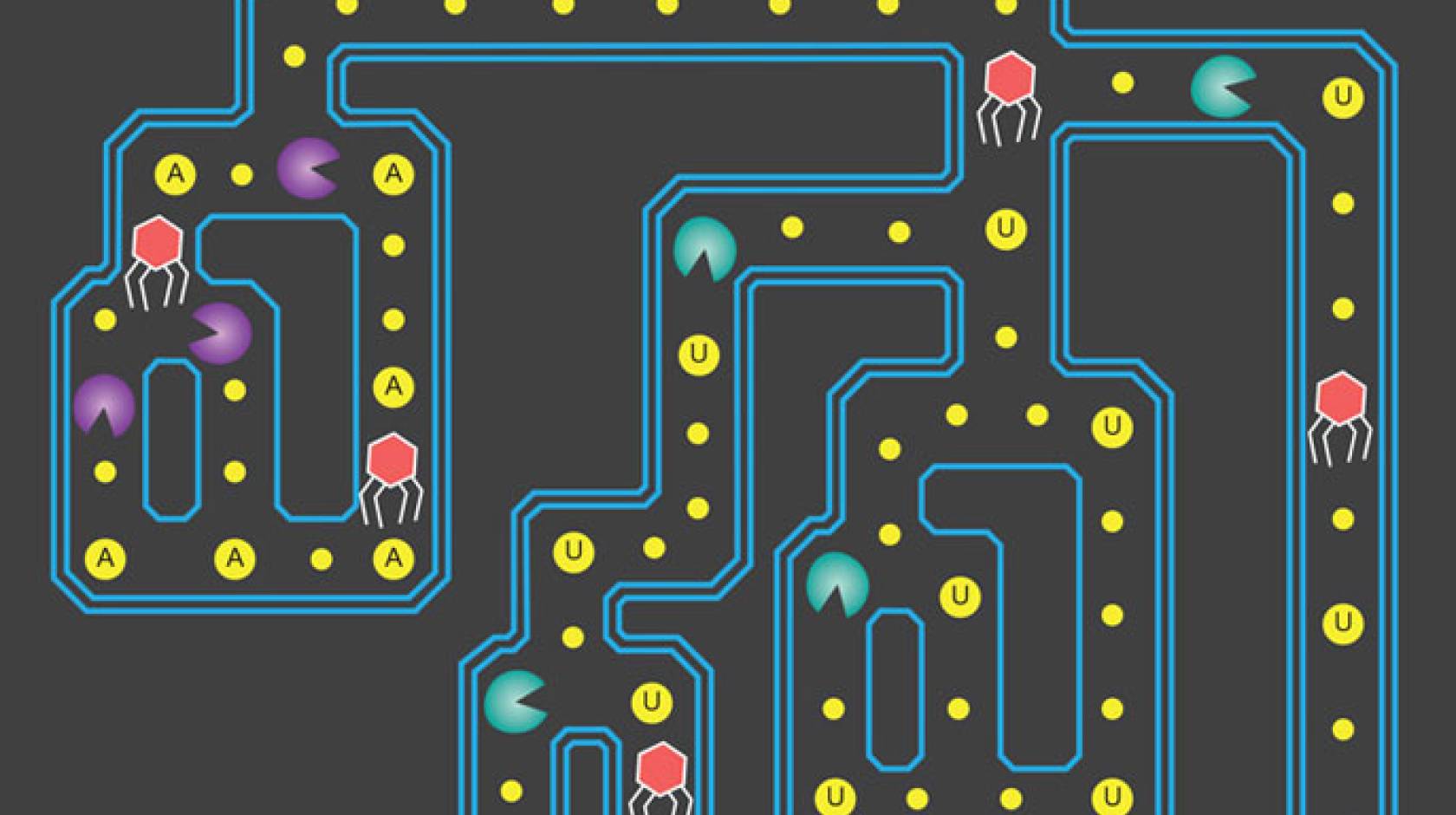 UC Berkeley Pac-Man