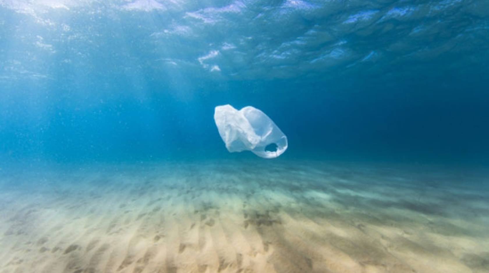 Plastic blag floating in water