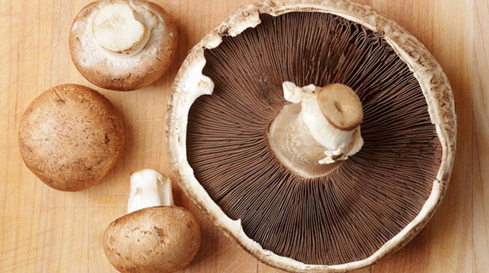 portobello mushrooms