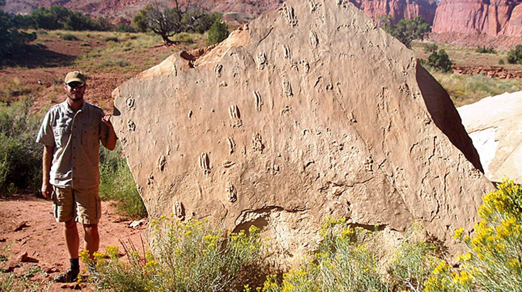 Tracy Thomson and fossil rock