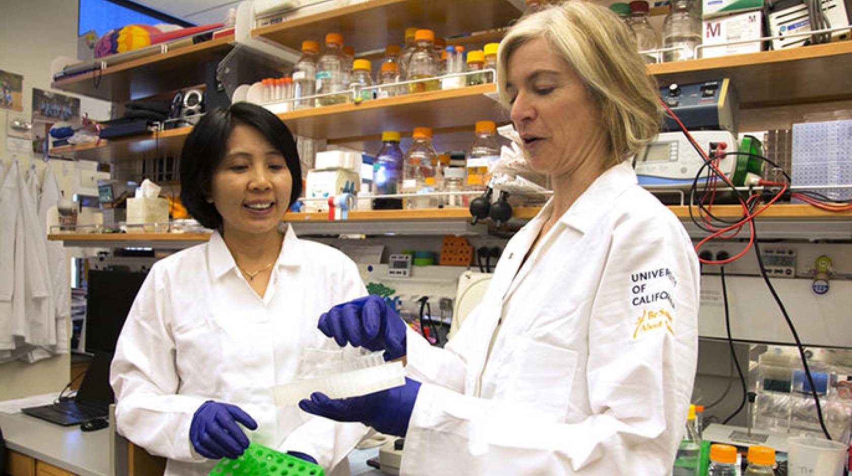 CRISPR named Science's Breakthrough of 2015