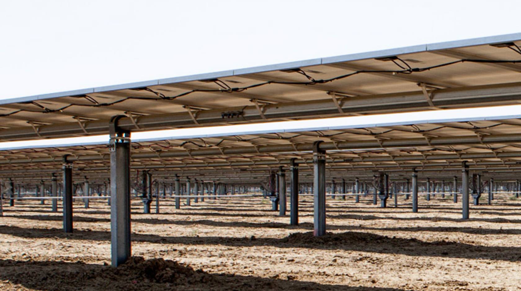 Five Points Solar Farm