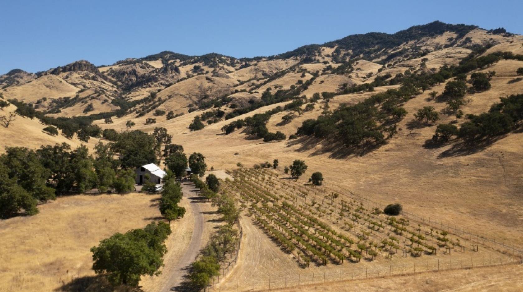 A view of a dry, yellow valley with a little grove