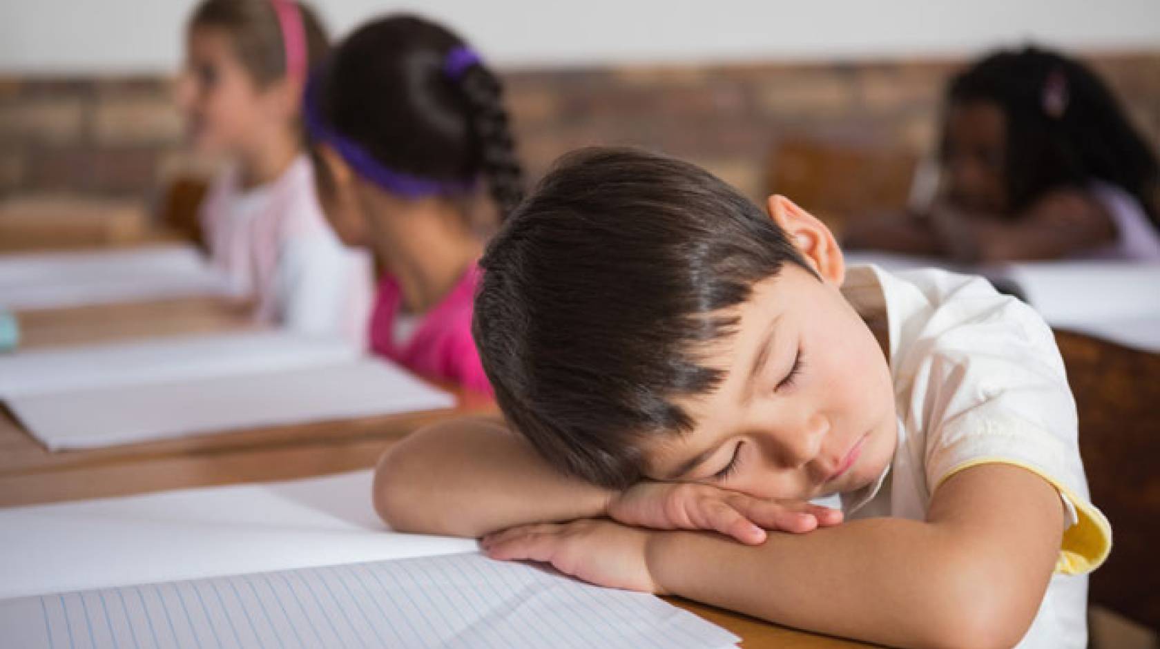 Child napping at desk