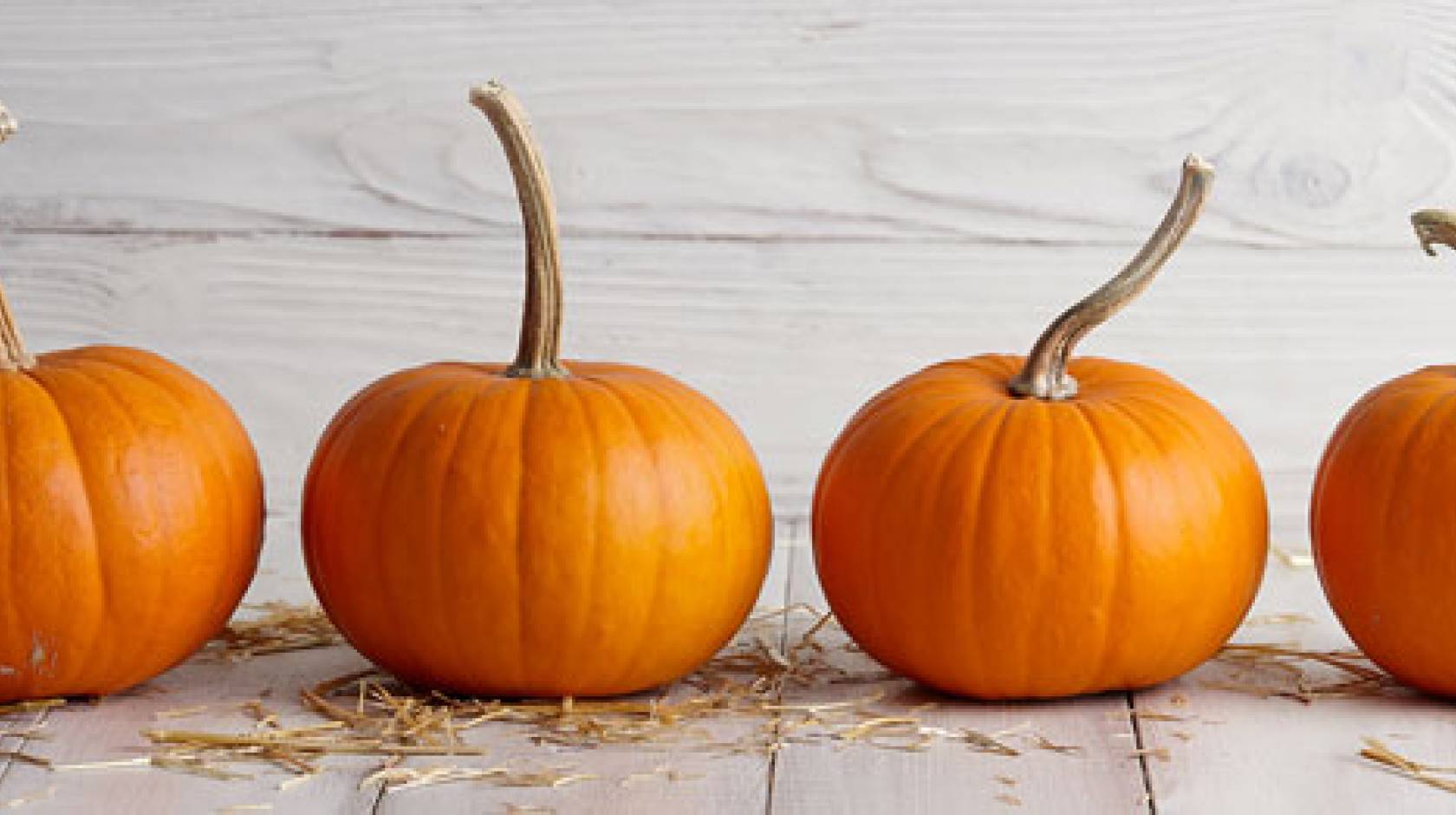 I heard this was called a pumpkin seed!? I just thought it was awesome! : r/ Fishing