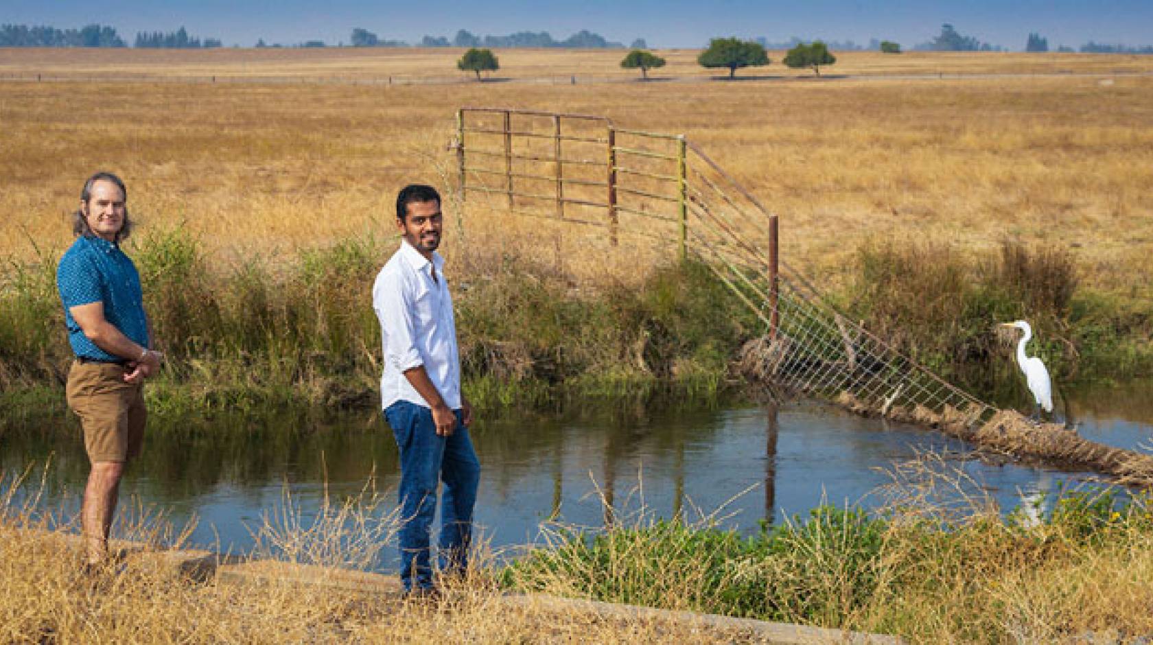 Two researchers and a heron in a ditch