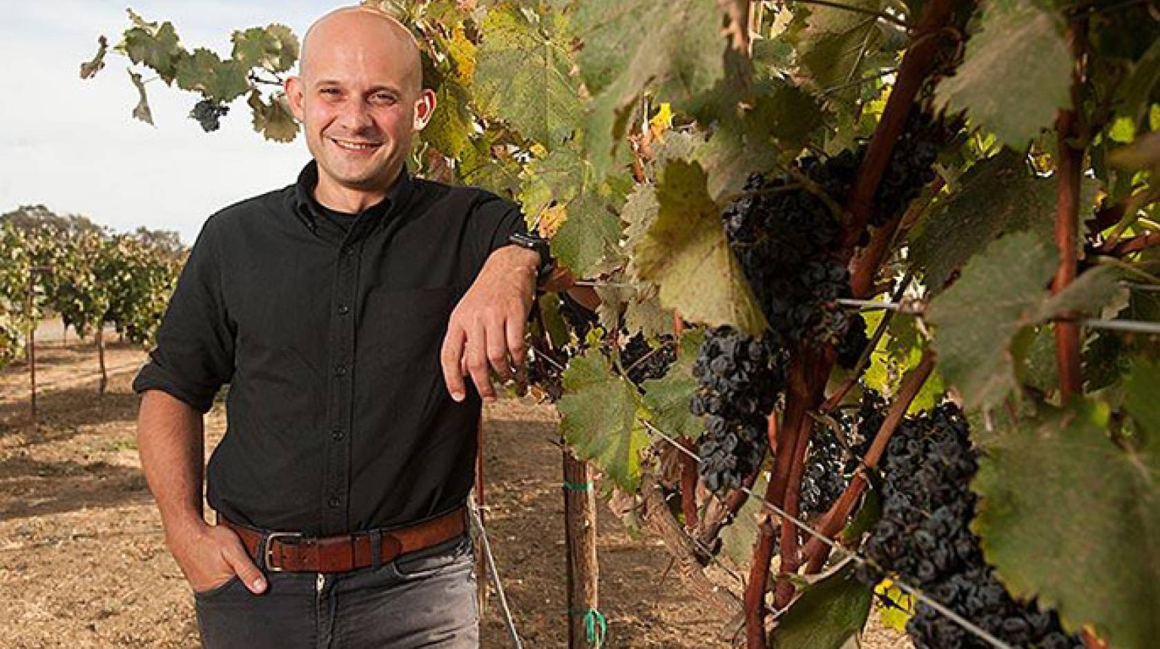 Breakthrough paves way for climate-tolerant wine grape varieties ...