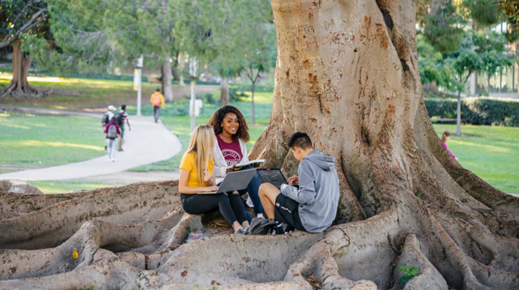 Three students sit under a tree on the Irvine campus