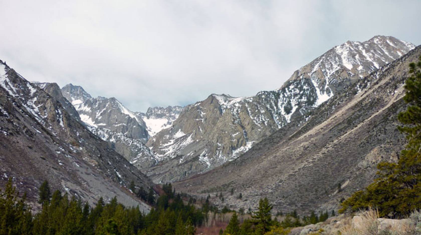 Sierra Nevada UCLA