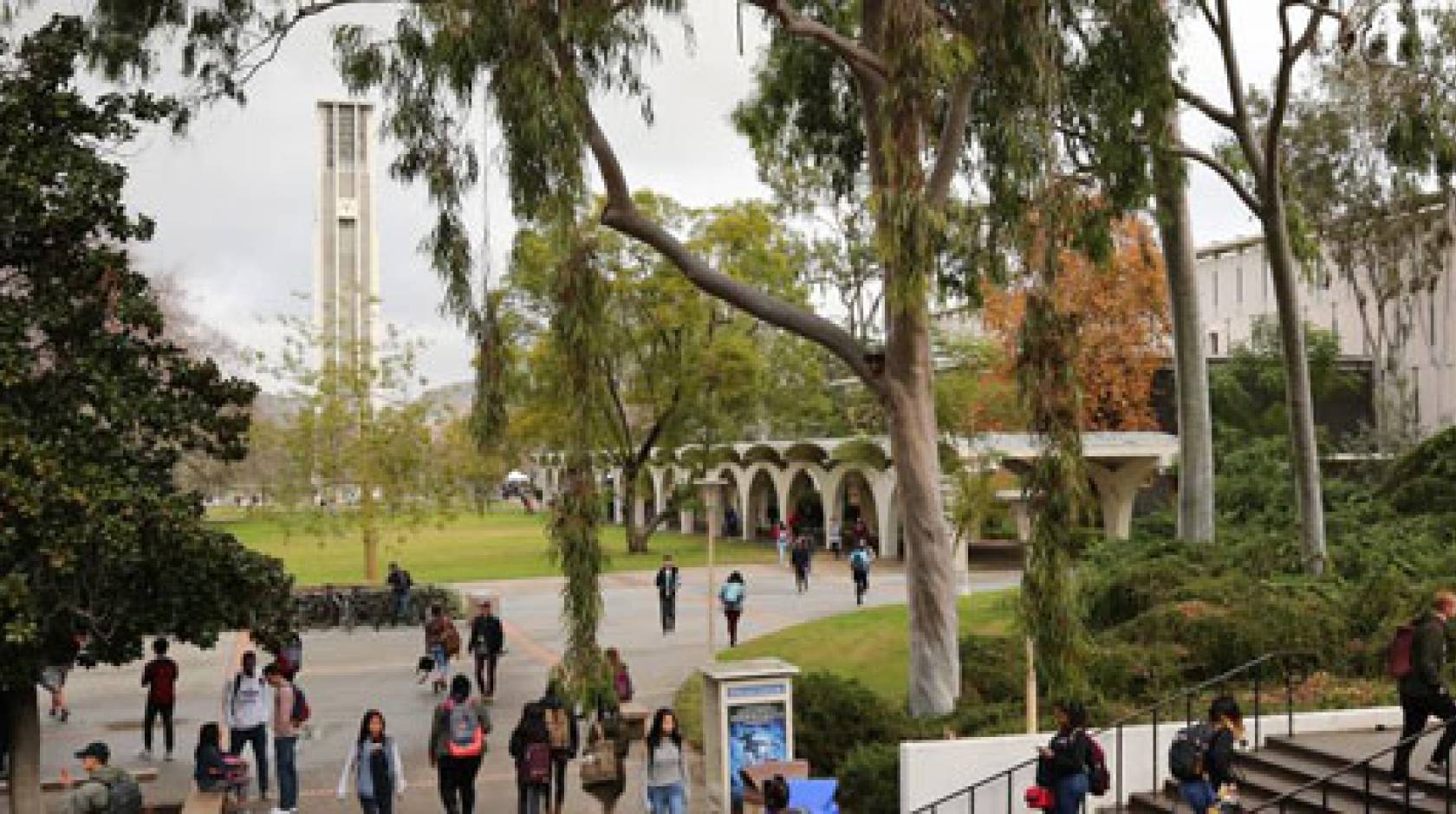 UC Riverside wide shot