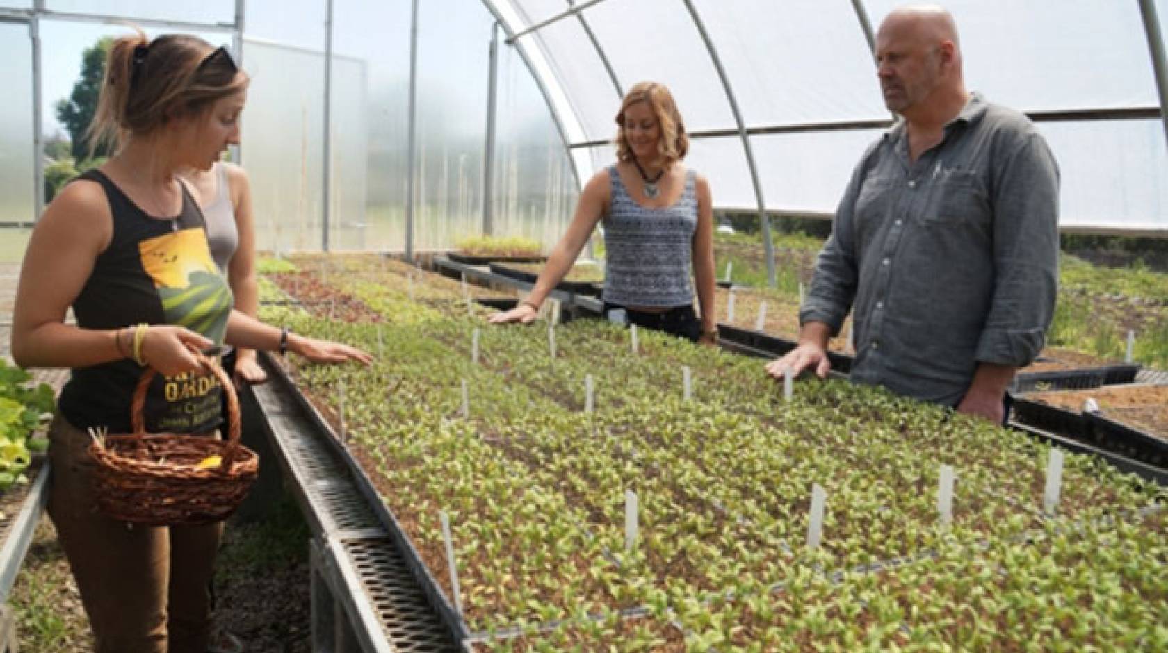 Professor Ken Hiltner, UCSB&#039;s Sustainability Champion for 2014-2015, and a group of his students toured Goleta-based Fairview Gardens as part of his course “The Rhetoric of the Anthropocene and Climate Change.” 