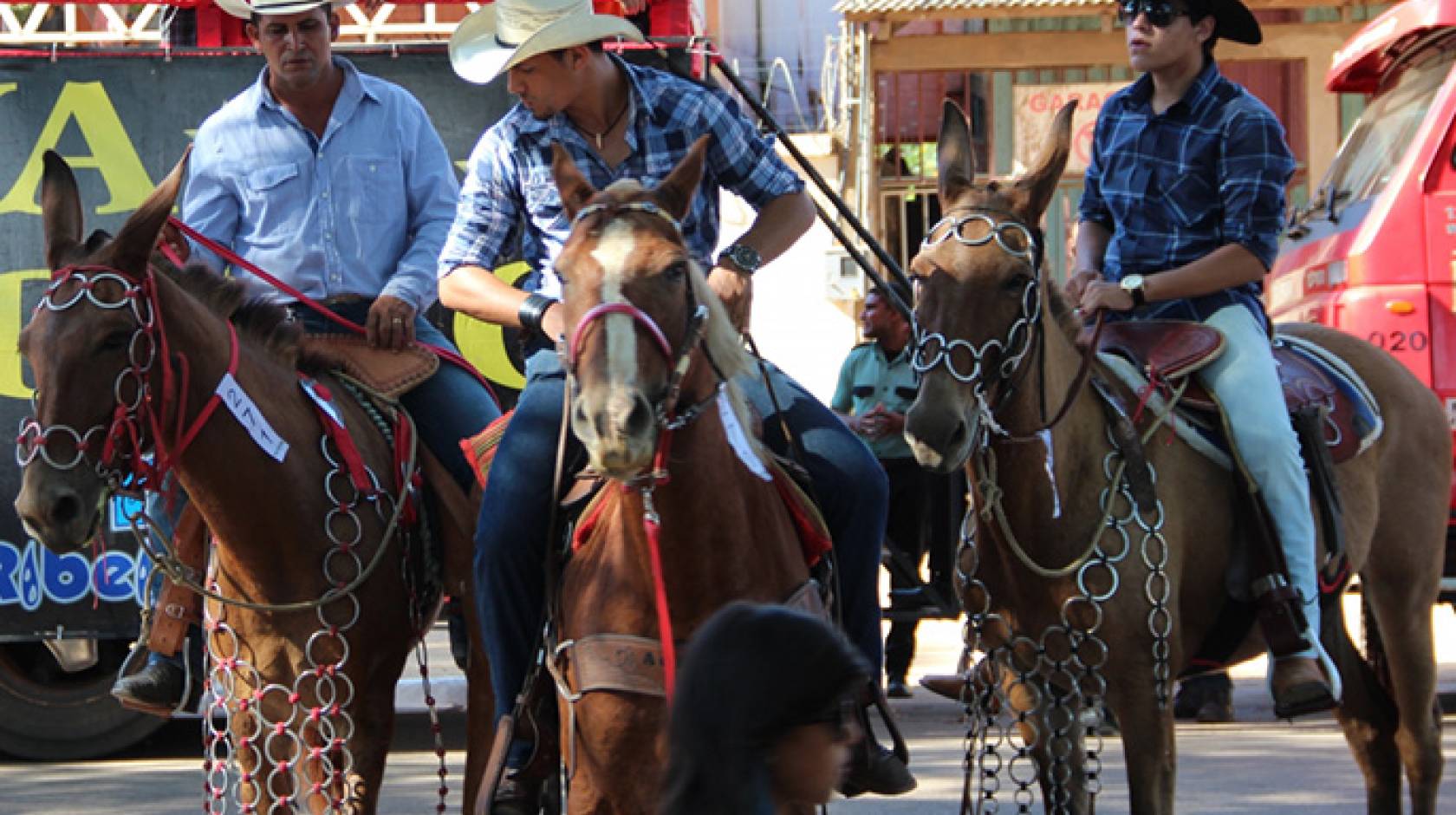 Cowboys of Western Amazonia