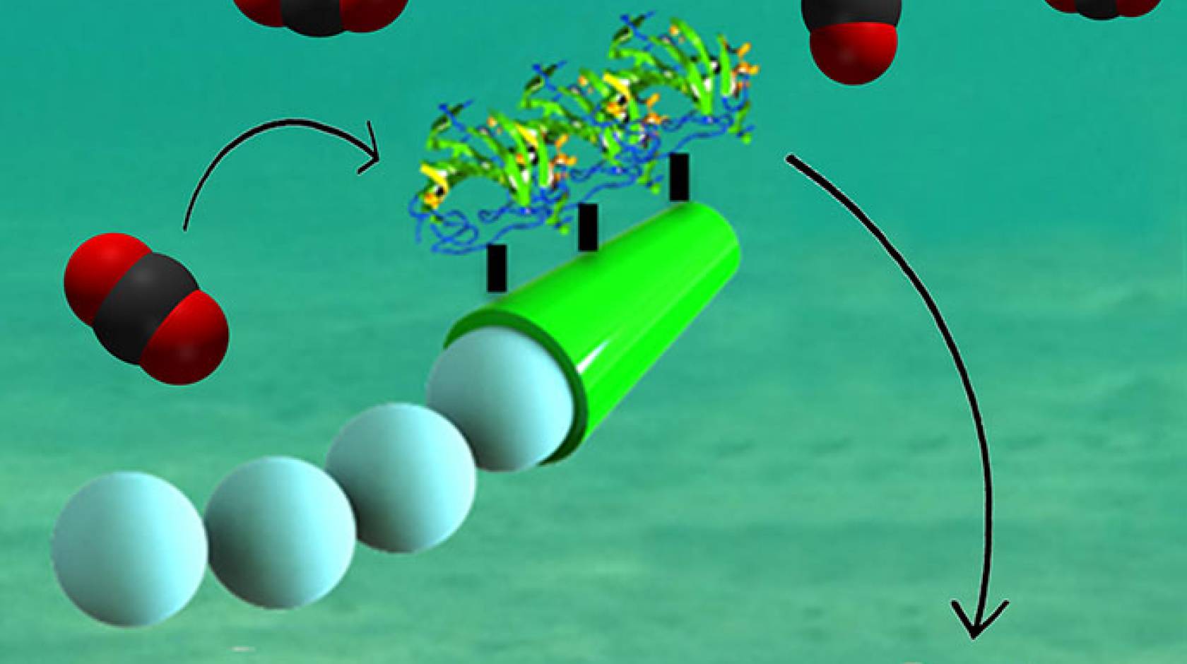 CO2 micromotor graphic