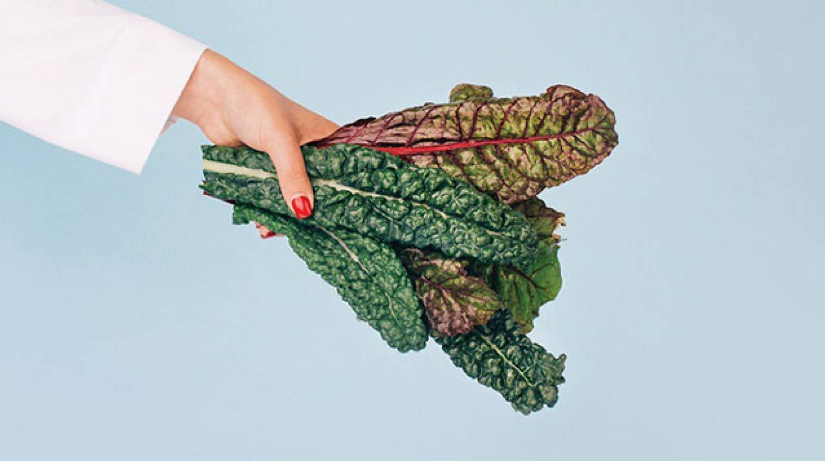 Institute for Integrative Nutrition on LinkedIn: How much kale is