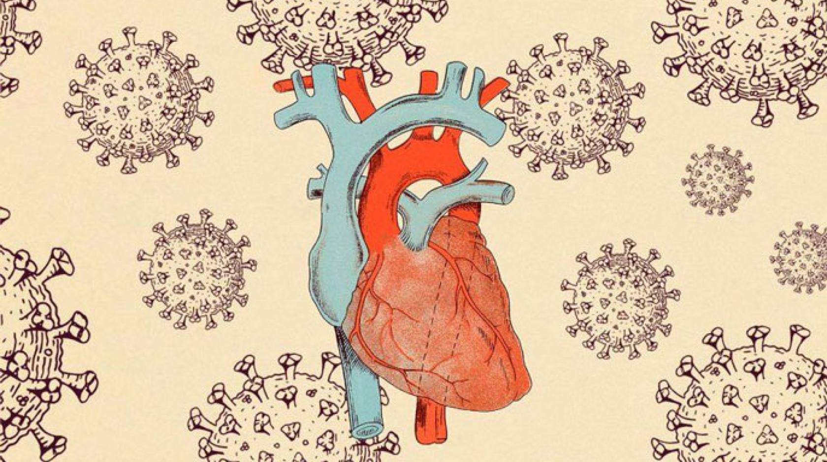 Illustration of a heart