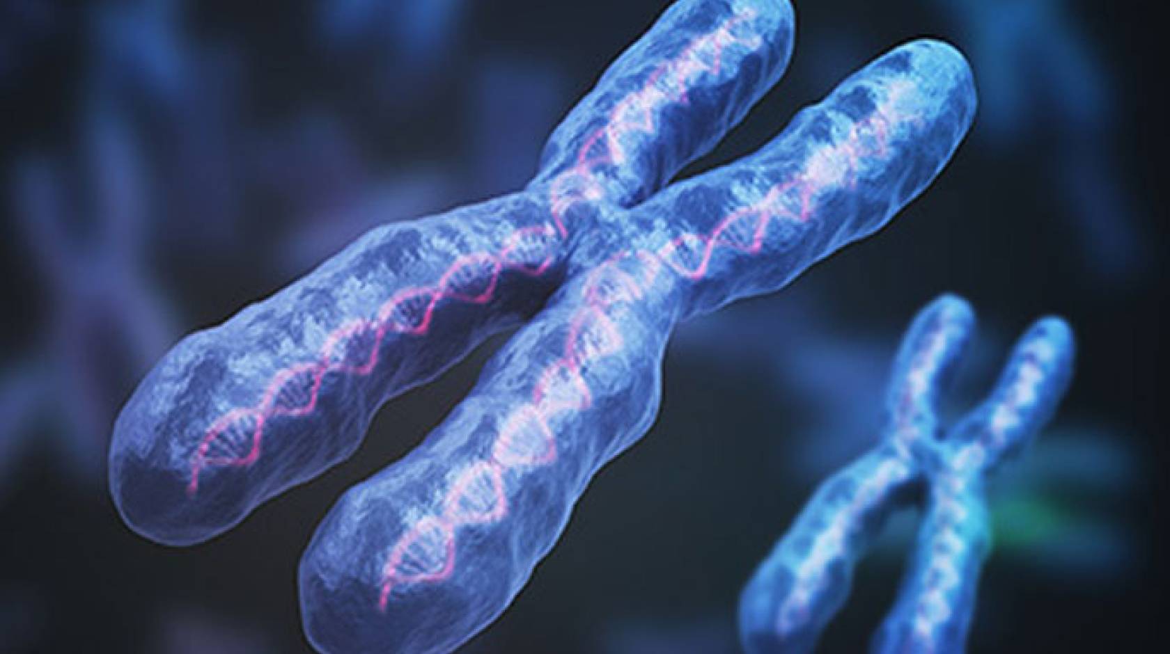 chromosome background