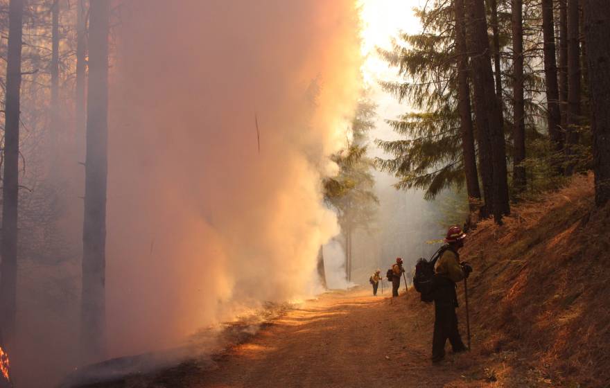 Firefighters battling the August Complex