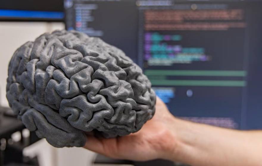 Brain-computer breakthrough A hand holds a gray model of a human brain