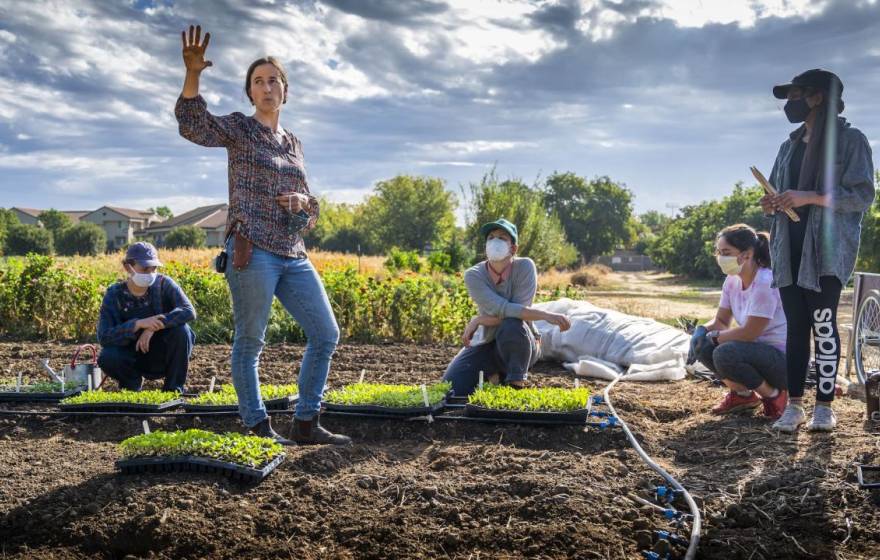 People in a student farm